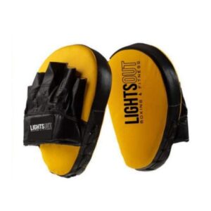 Boxing Focus Mitts