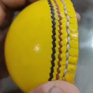 Cricket Indoor (Yellow Ball)